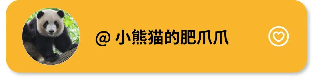 游子心事：记忆中最美的家乡味